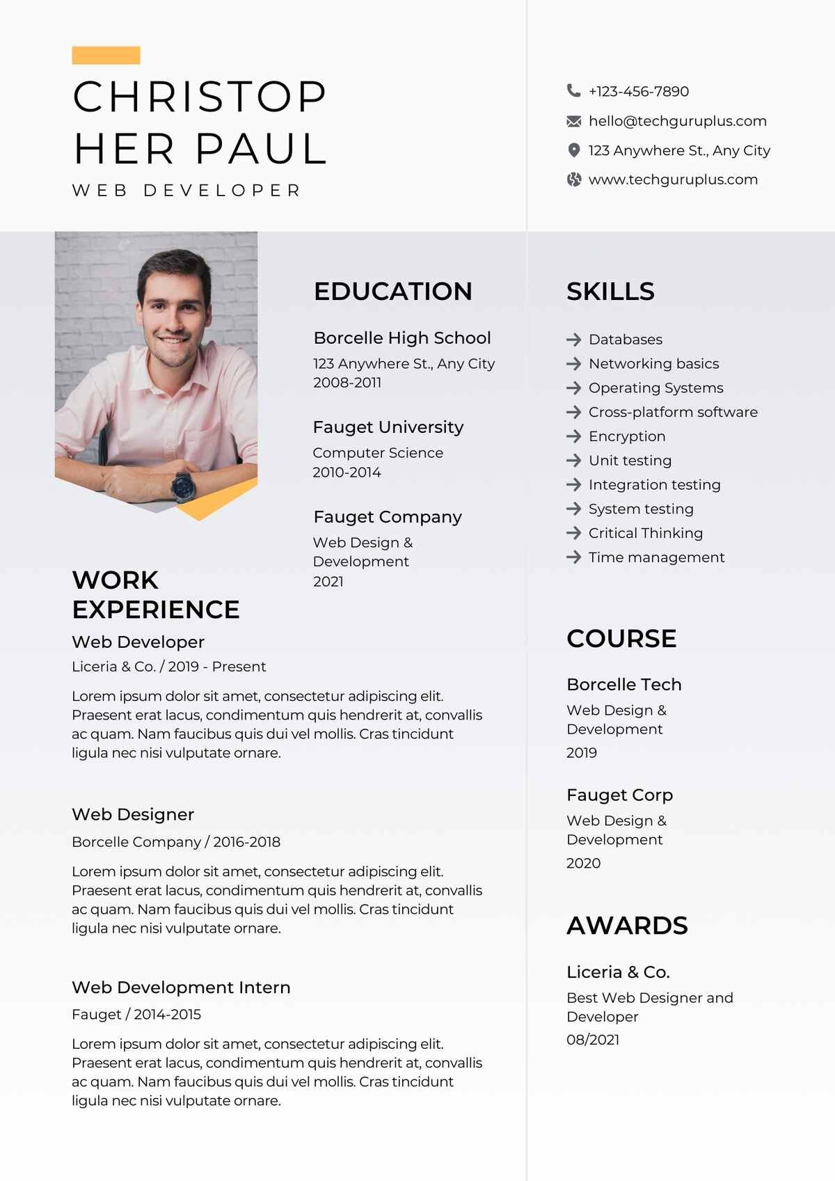 Web Developer Editable Resume Template Download in docx-5