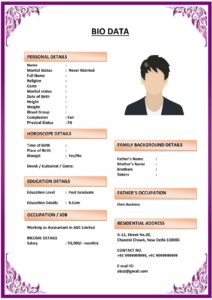 Biodata for Pilot or Aviation Officer (Download Word .docx)