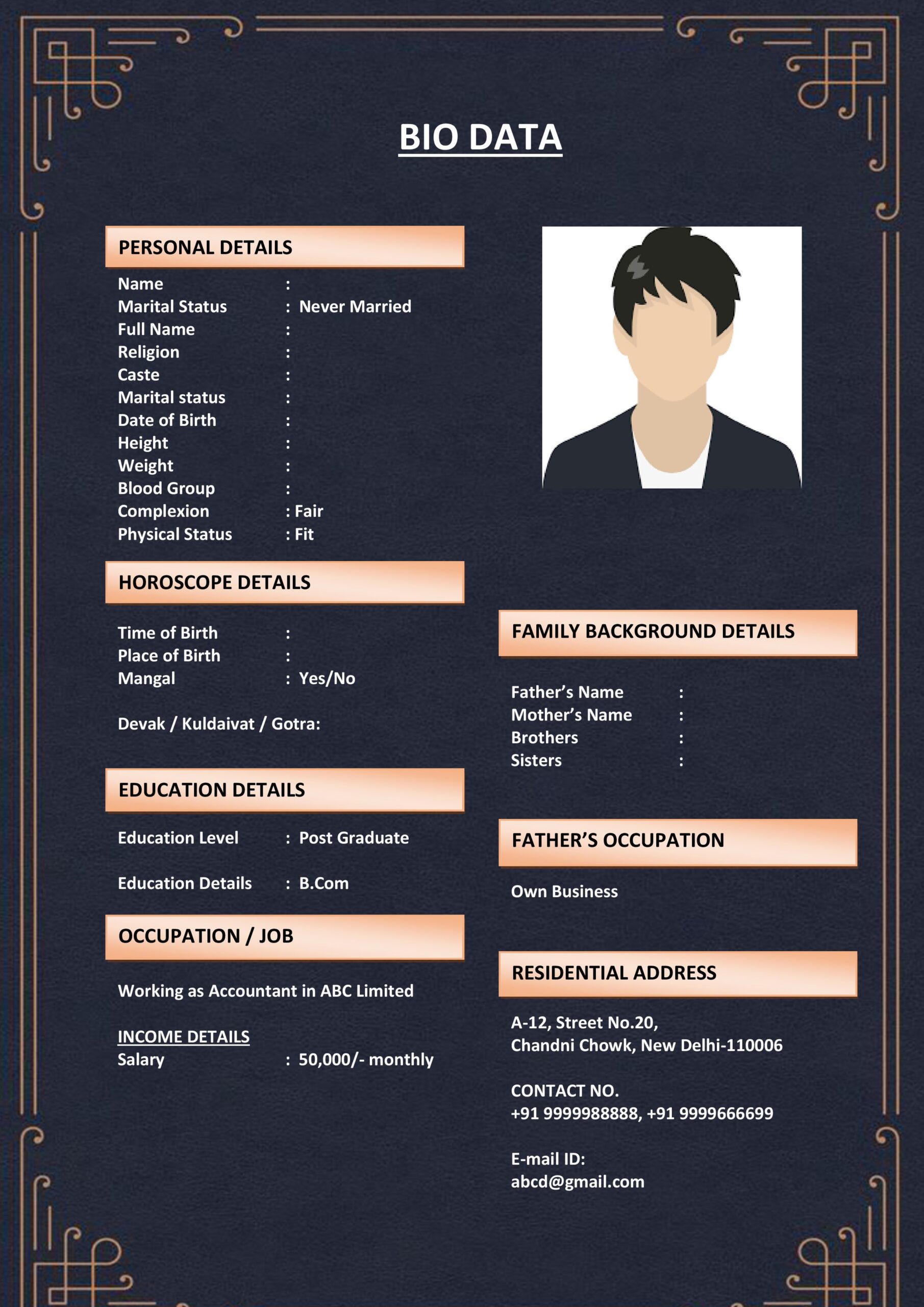 Stylish Marriage Biodata in Word