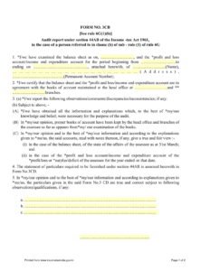Income Tax Form No. 3CB Download Audit report under section 44AB of the Income-tax