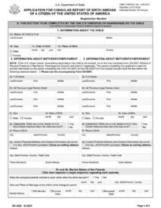 Form DS-2029 Birth Abroad Application PDF Download