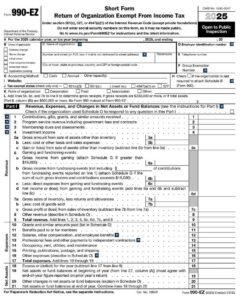 IRS Form 990-EZ PDF Download – Nonprofit Short Return