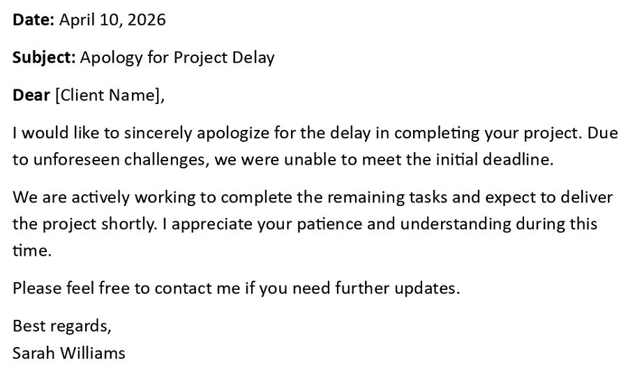 Apology for Project Delay