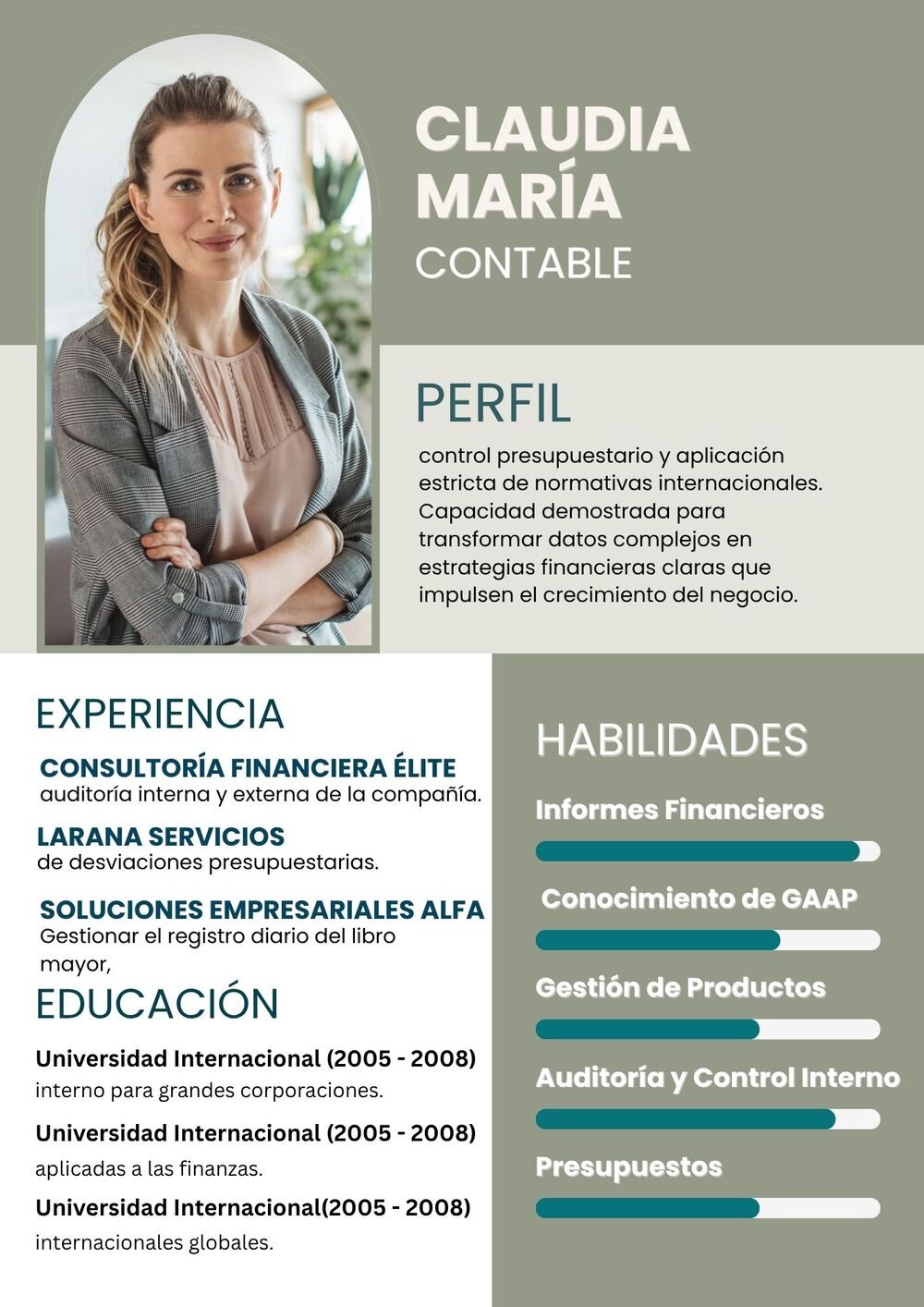Plantilla de Currículum de Contable y Consultoría Financiera