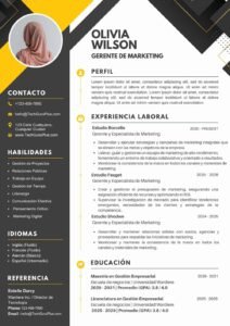 Currículum Geométrico para Gerencia de Marketing