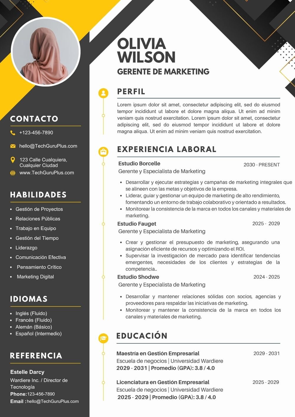 Currículum Geométrico para Gerencia de Marketing