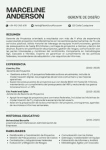 Currículum Minimalista para Gerencia de Diseño