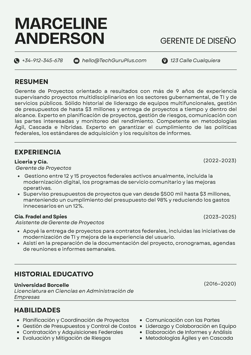 Currículum Minimalista para Gerencia de Diseño