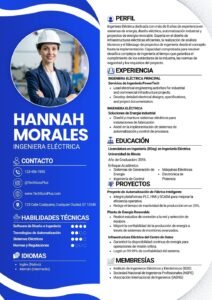 Formato Curricular Dinámico para Ingeniera Eléctrica