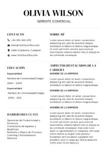 Formato Elegante de Currículum Comercial