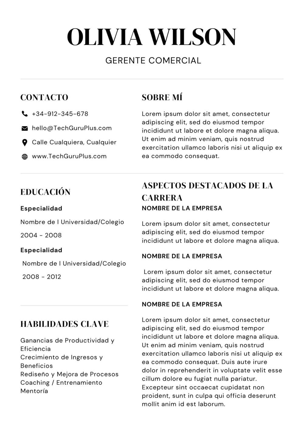Formato Elegante de Currículum Comercial