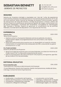 Formato Minimalista para Gerente de Proyectos