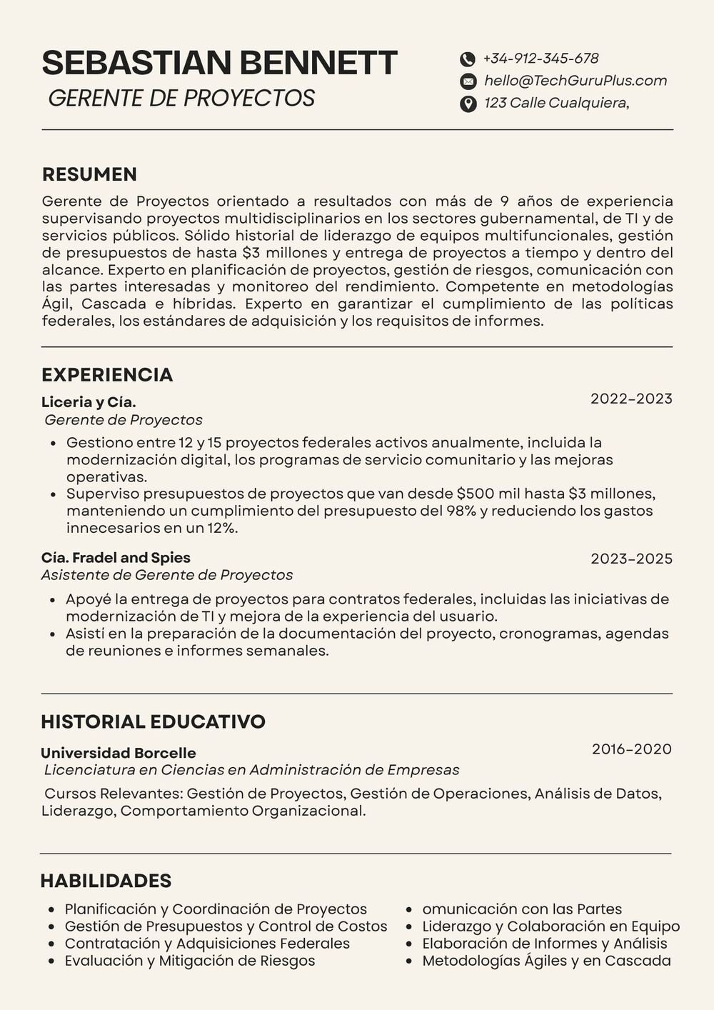 Formato Minimalista para Gerente de Proyectos