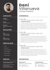 Plantilla de Currículum de Contador Profesional