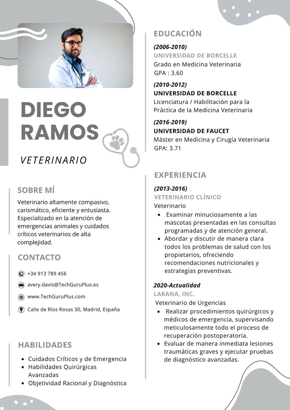 Plantilla de Currículum de Veterinario y Medicina Veterinaria