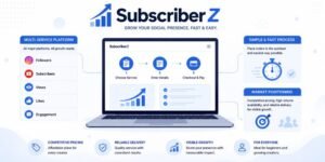 SubscriberZ as a Growth Platform Structure and Positioning